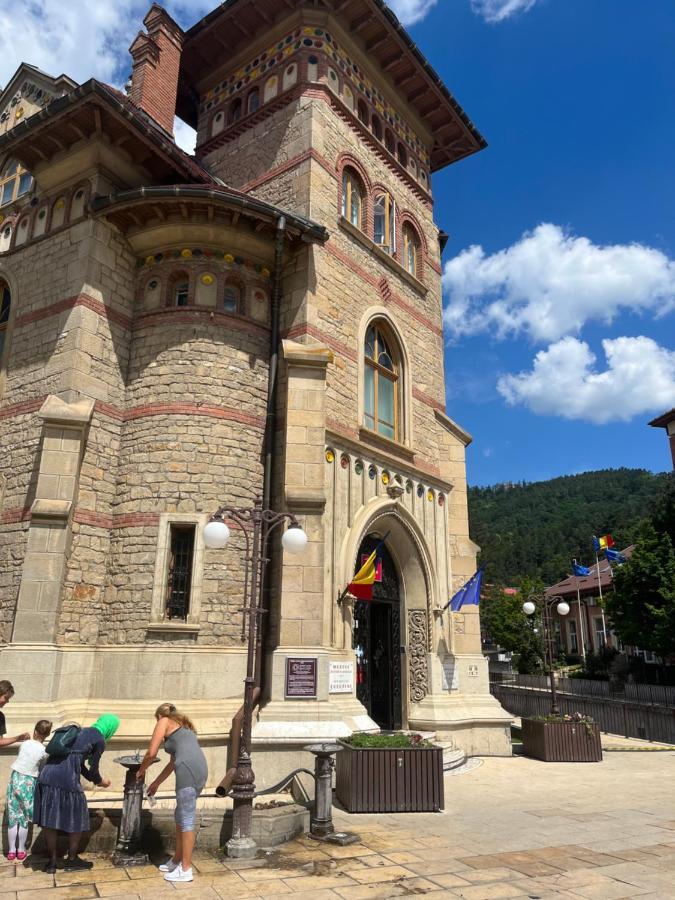 Cazare David Si Familia . Piatra Neamţ Екстериор снимка